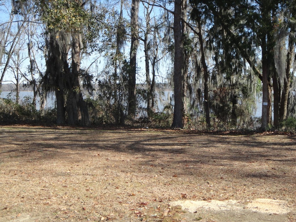 2791 Calhoun Drive Abbeville, AL 36310 - Photo 7 of 12