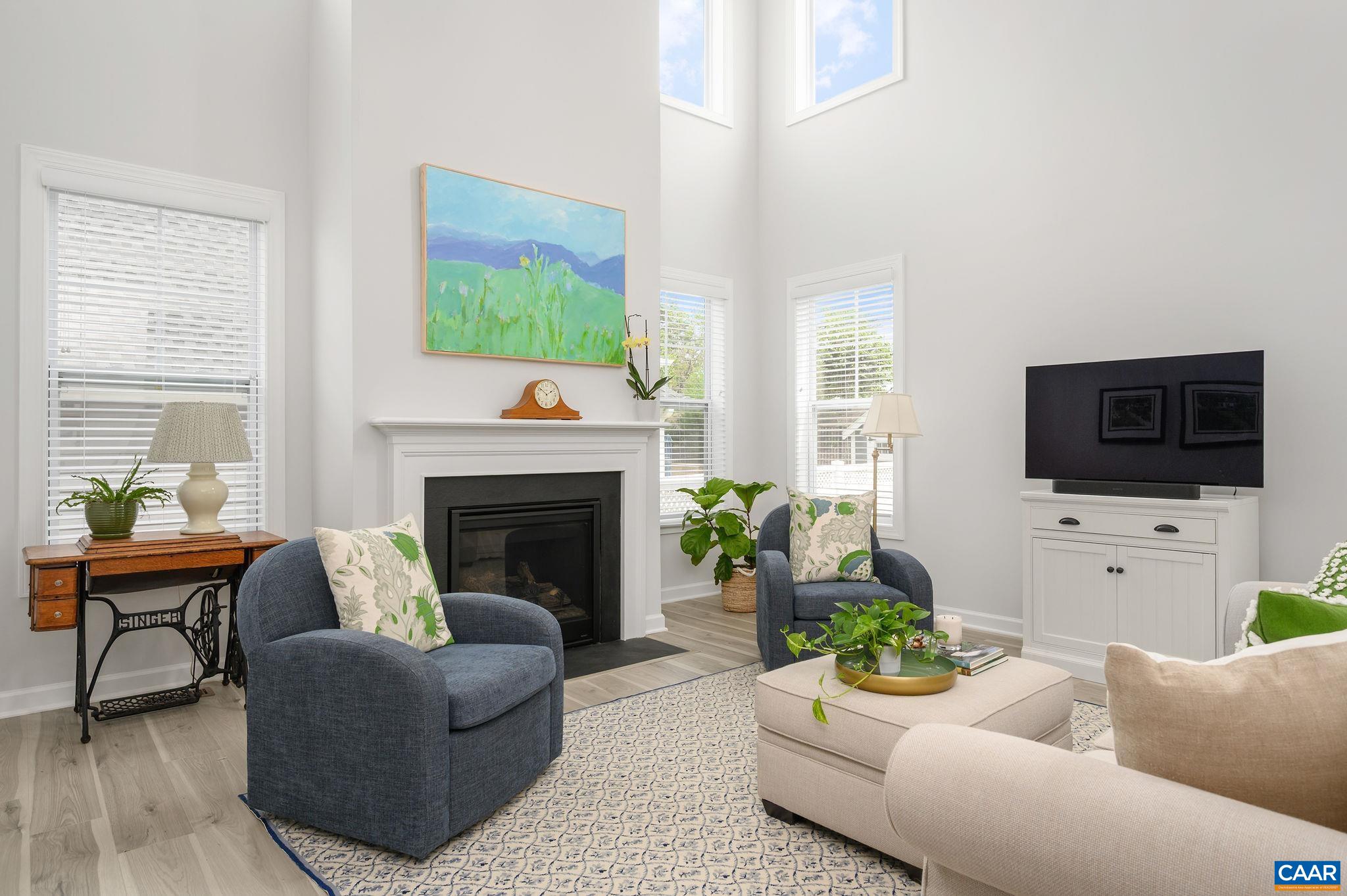 3526 Thicket Run Place Charlottesville, VA 22911 - Photo 8 of 36 a living room with furniture a flat screen tv and a fireplace