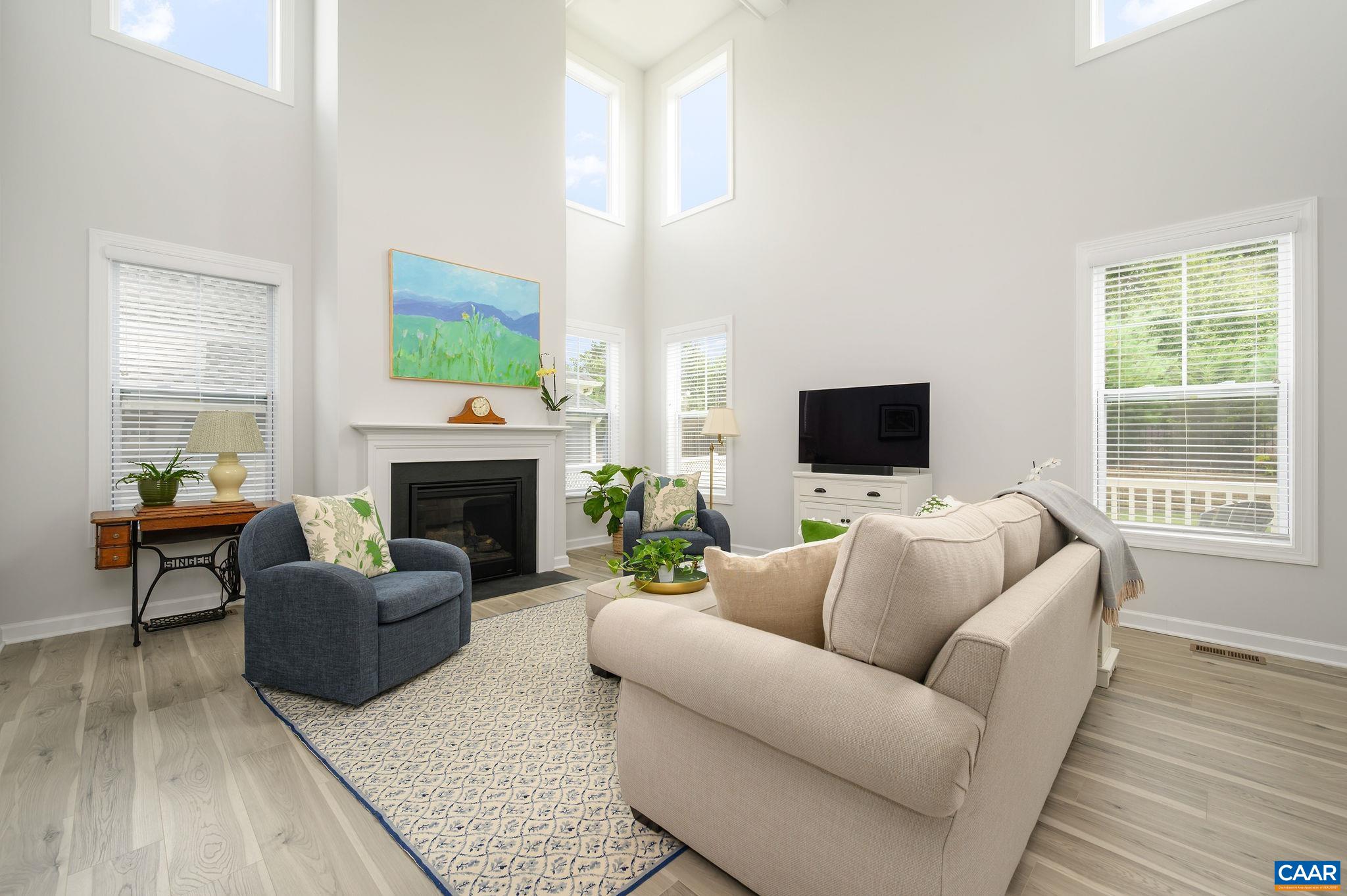 3526 Thicket Run Place Charlottesville, VA 22911 - Photo 9 of 36 a living room with furniture a flat screen tv and a fireplace