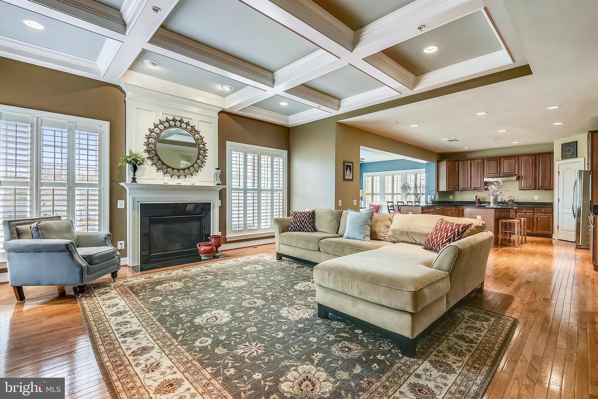 4814 Chichester House Road Olney, MD 20832 - Photo 17 of 84 Gas Fireplace