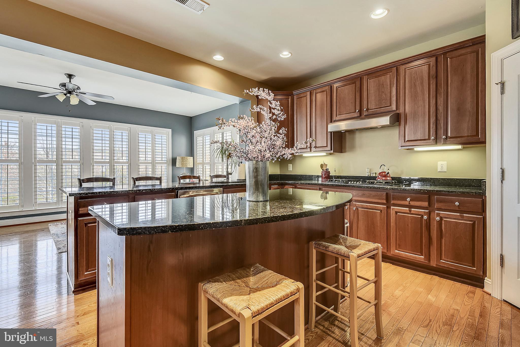 4814 Chichester House Road Olney, MD 20832 - Photo 8 of 84 Kitchen Island