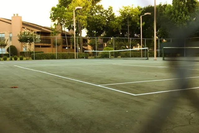 a view of a park with a large tree