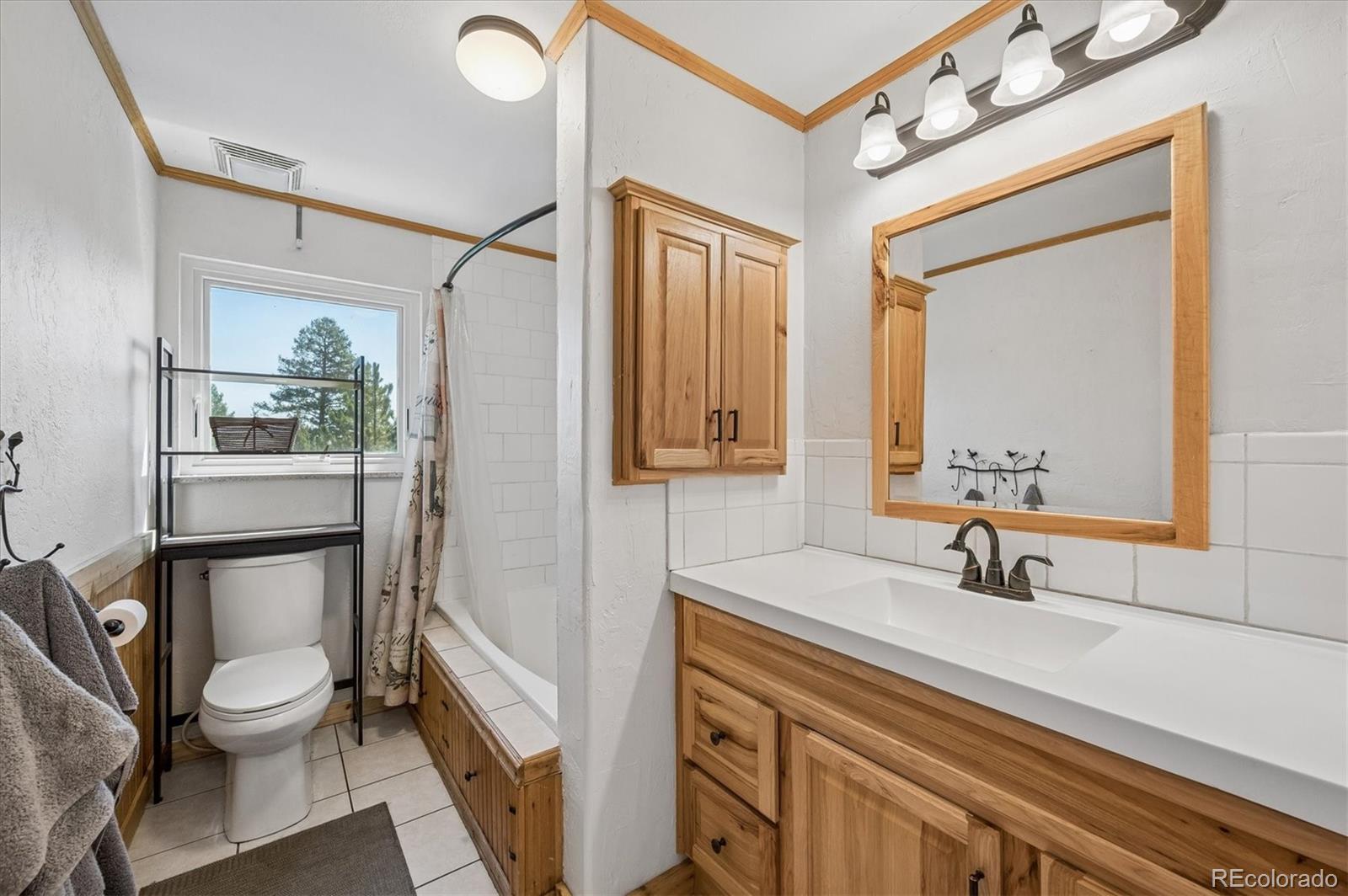 194 Long Ridge Drive Bailey, CO 80421 - Photo 16 of 46