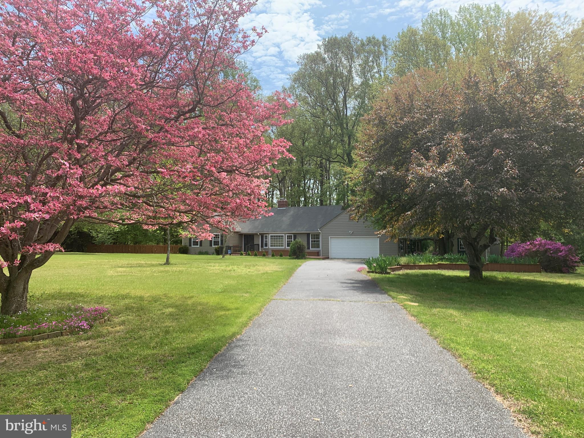 9490 Quail Run Road Denton, MD 21629 - Photo 28 of 35 Paved Driveway