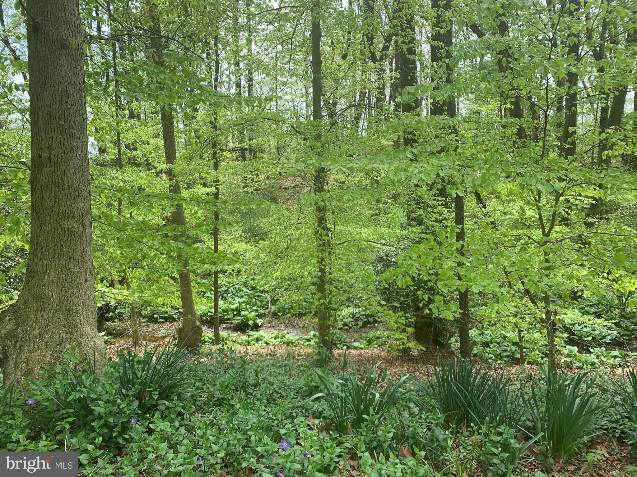 9490 Quail Run Road Denton, MD 21629 - Photo 30 of 35 Property back to a Stream