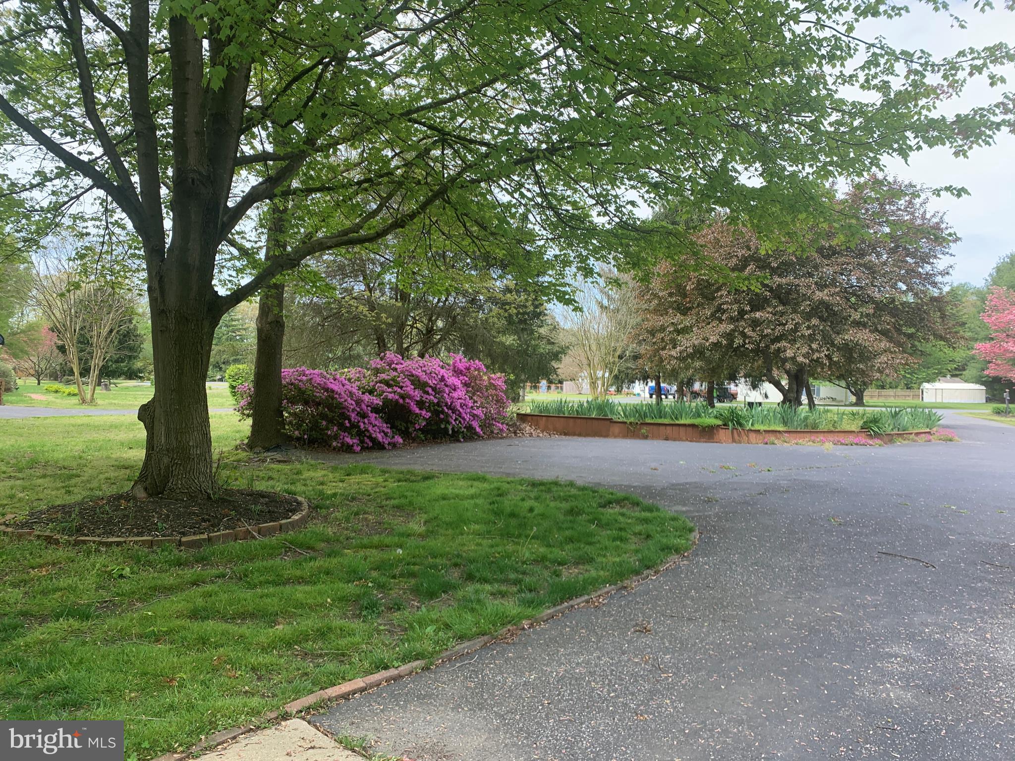 9490 Quail Run Road Denton, MD 21629 - Photo 33 of 35 Extensive Landscaping