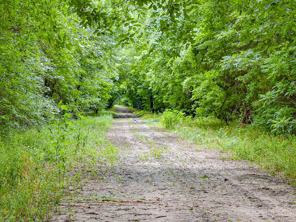 3280 Ws Rail Road Franklin, TX 77856 - Photo 8 of 10
