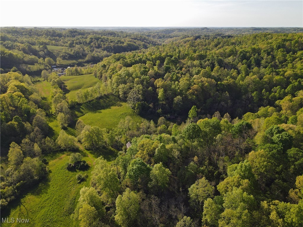 1429 Willow Run Road Belleville, WV 26133 - Photo 2 of 6