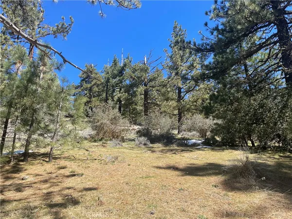 $25,000 | 0 Matterhorn Drive, Tehachapi, CA 93561