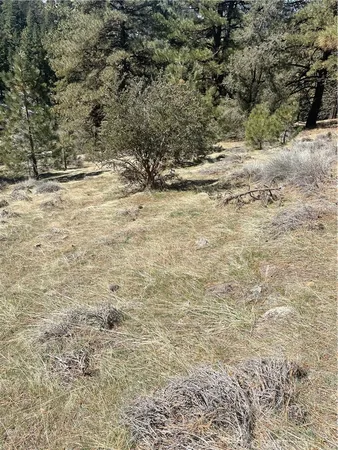 $25,000 | 0 Matterhorn Drive, Tehachapi, CA 93561