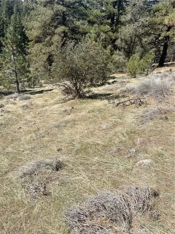 $25,000 | 0 Matterhorn Drive, Tehachapi, CA 93561