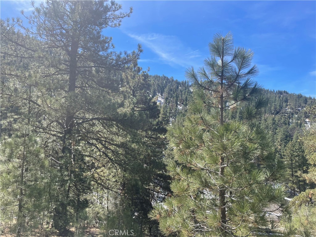 0 Matterhorn Drive Tehachapi, CA 93561 - Photo 12 of 13 Blue skies and glistening pines.