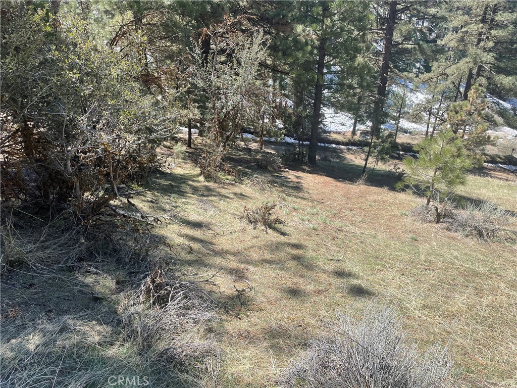 0 Matterhorn Drive Tehachapi, CA 93561 - Photo 13 of 13