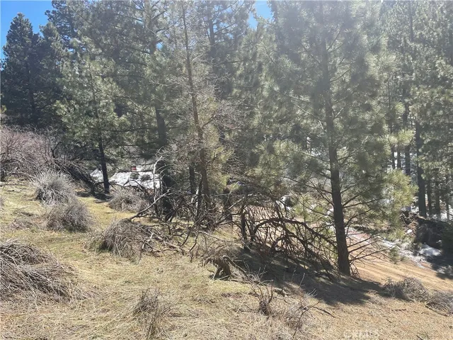 $25,000 | 0 Matterhorn Drive, Tehachapi, CA 93561