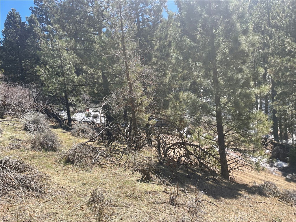 0 Matterhorn Drive Tehachapi, CA 93561 - Photo 5 of 13 A little snow left over and the scent of pine let you know you are in the mountains.