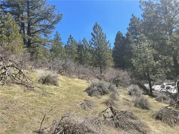 $25,000 | 0 Matterhorn Drive, Tehachapi, CA 93561