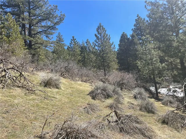 $25,000 | 0 Matterhorn Drive, Tehachapi, CA 93561