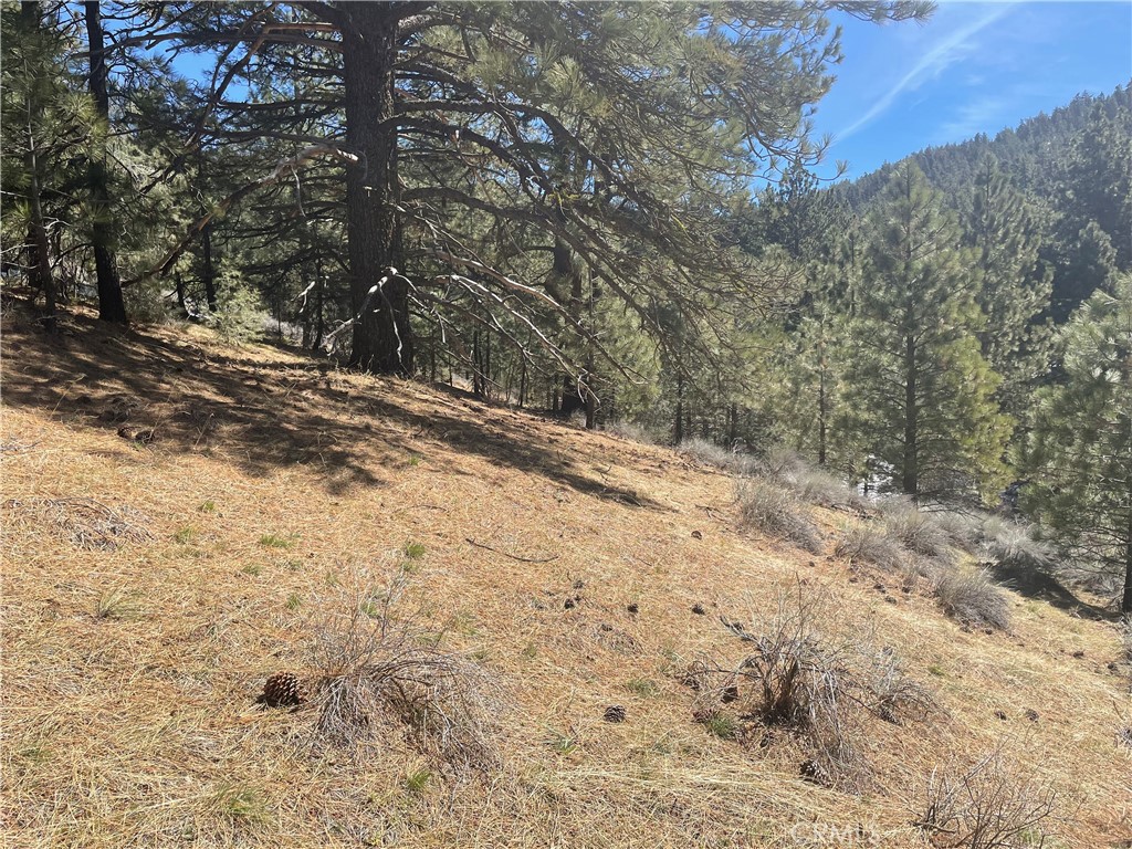 0 Matterhorn Drive Tehachapi, CA 93561 - Photo 7 of 13