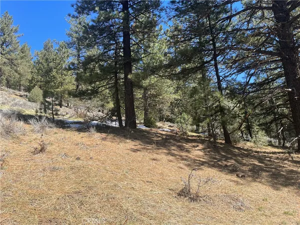 $25,000 | 0 Matterhorn Drive, Tehachapi, CA 93561