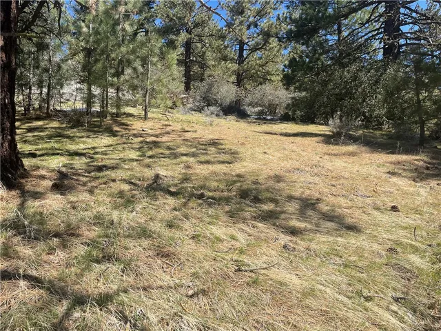 $25,000 | 0 Matterhorn Drive, Tehachapi, CA 93561
