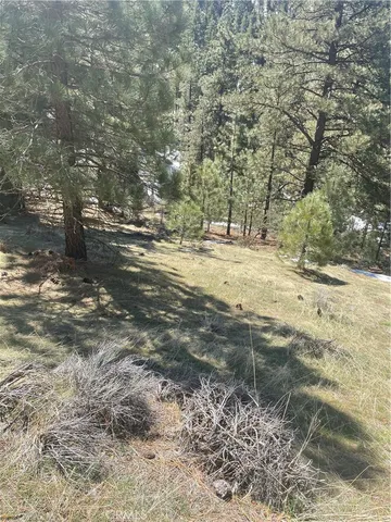 $25,000 | 0 Matterhorn Drive, Tehachapi, CA 93561