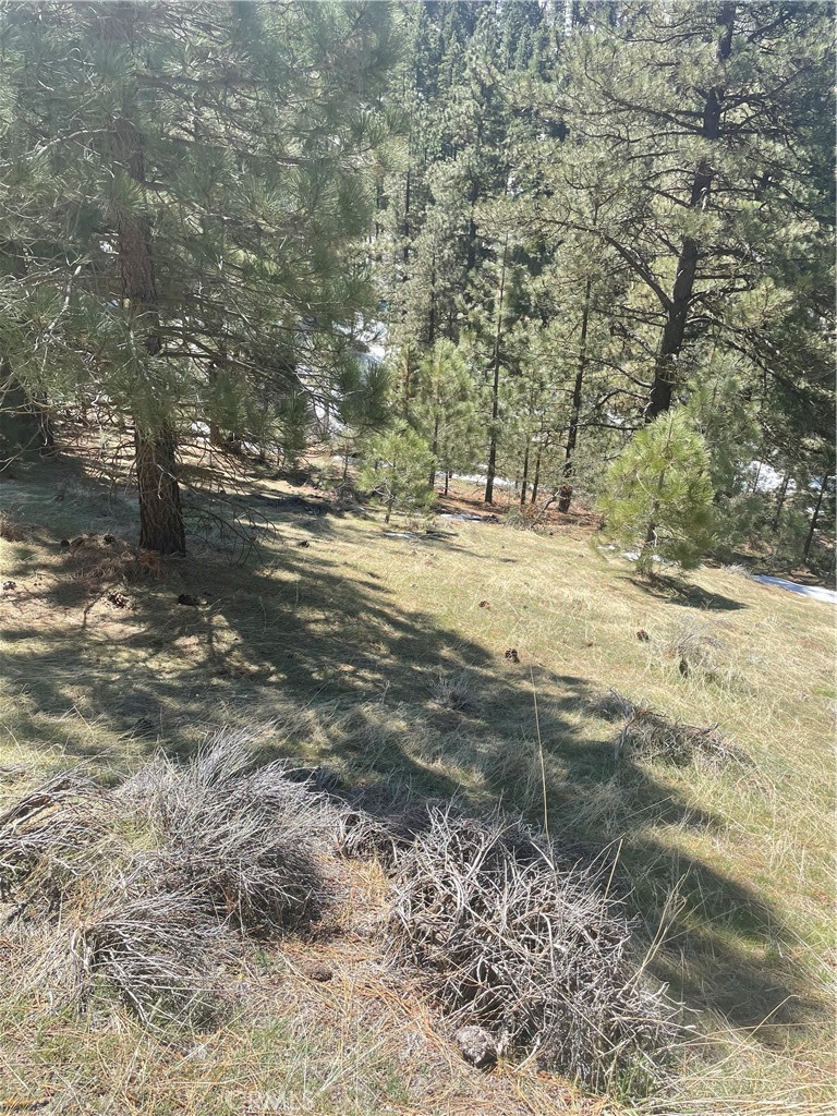 0 Matterhorn Drive Tehachapi, CA 93561 - Photo 10 of 13