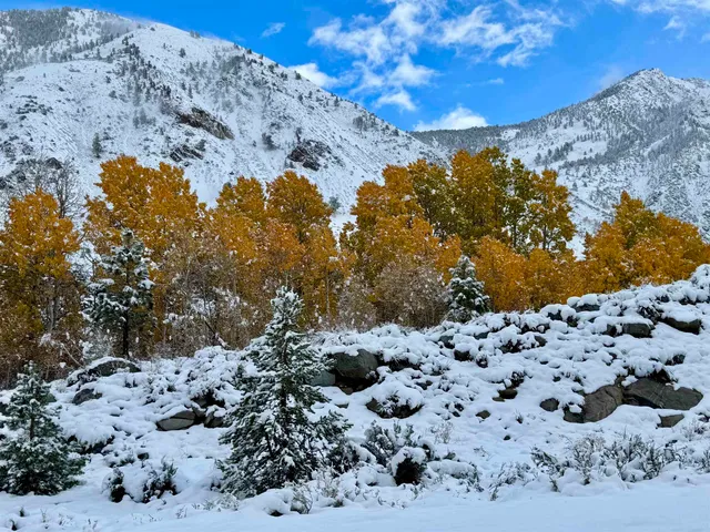 $749,000 | 191 Alpine Drive, Unit 31, Bishop, CA 93514