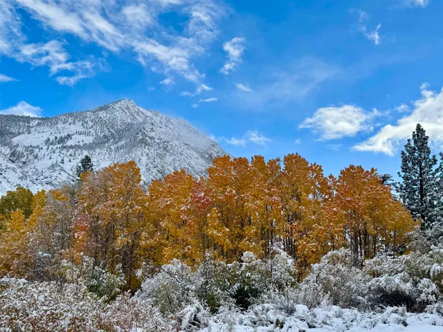 $749,000 | 191 Alpine Drive, Unit 31, Bishop, CA 93514