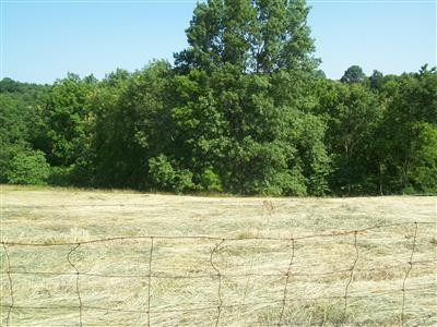1185 Clarks Creek(parcel 2) Road Dry Ridge, KY 41035 - Photo 4 of 8