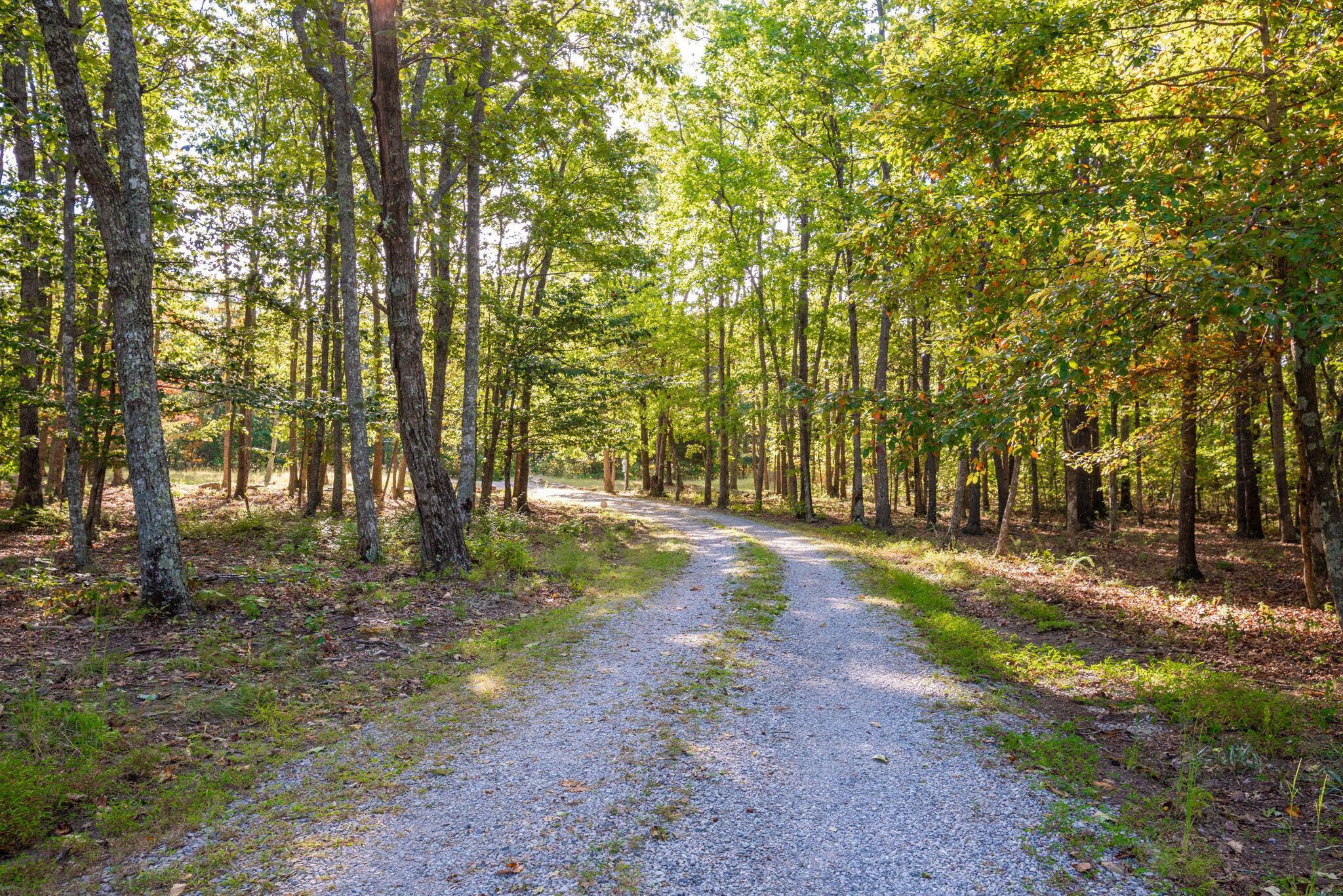 1320 Old State Road Menlo, GA 30731 - Photo 33 of 34 41-web-or-mls-DSC_7665