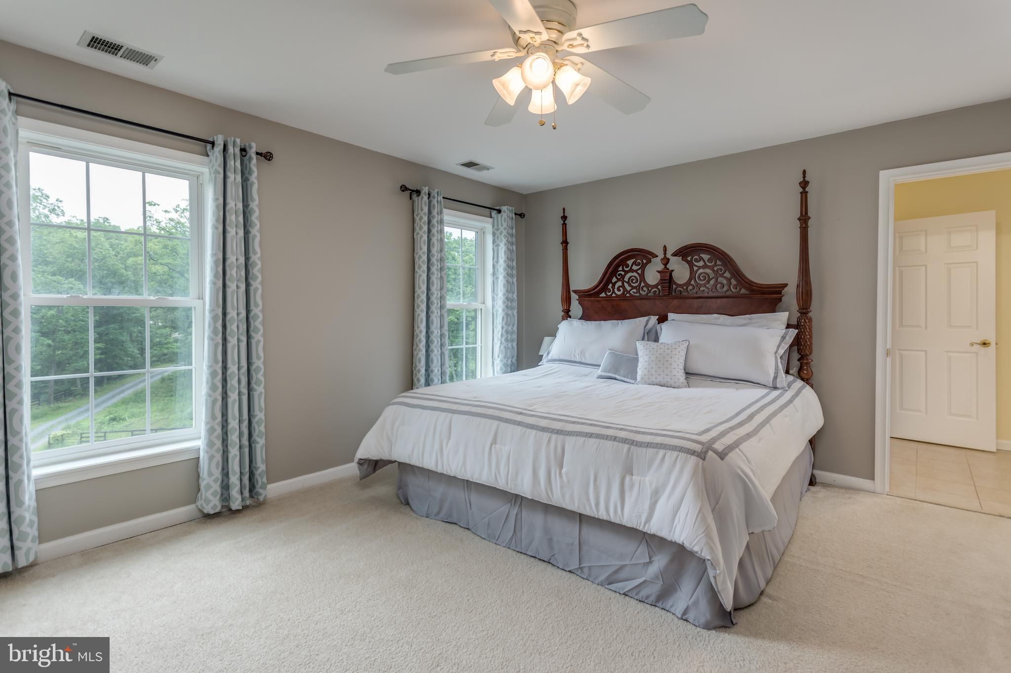 579 Sleepywoods Road Cross Junction, VA 22625 - Photo 13 of 75 Master bedroom with ton of light