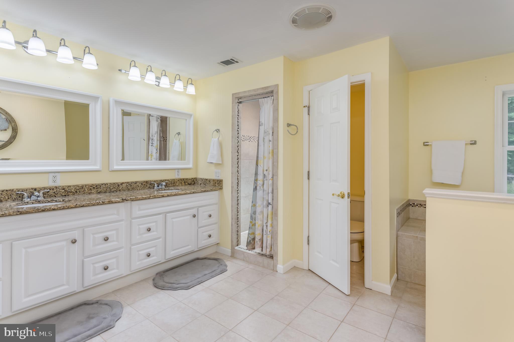 579 Sleepywoods Road Cross Junction, VA 22625 - Photo 15 of 75 Master bath with double sinks