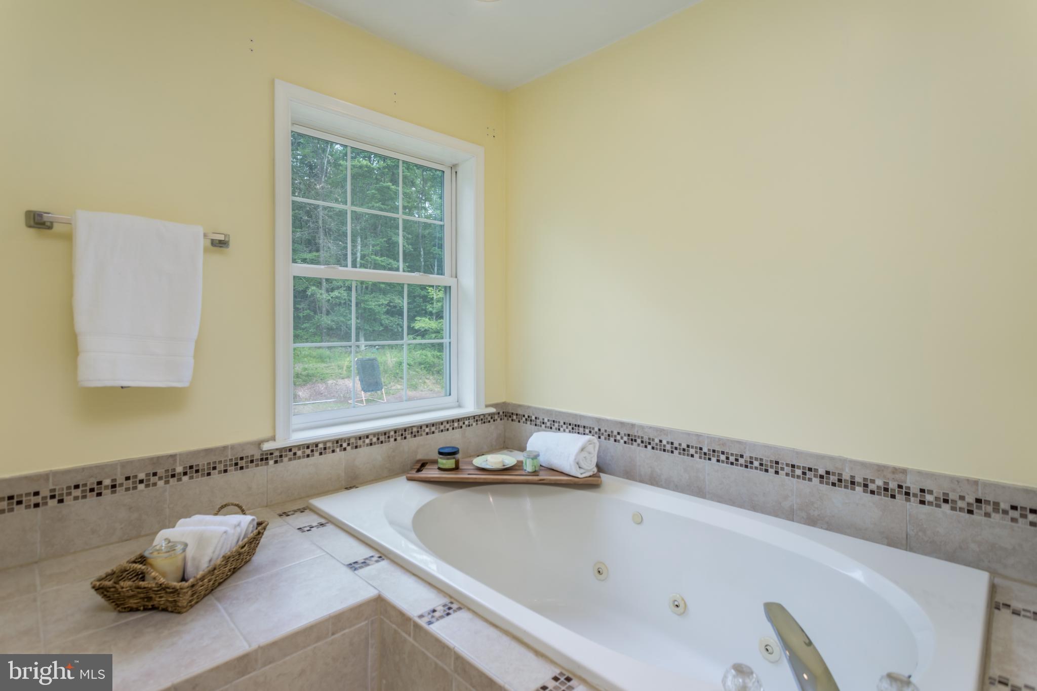 579 Sleepywoods Road Cross Junction, VA 22625 - Photo 16 of 75 Master jetted tub