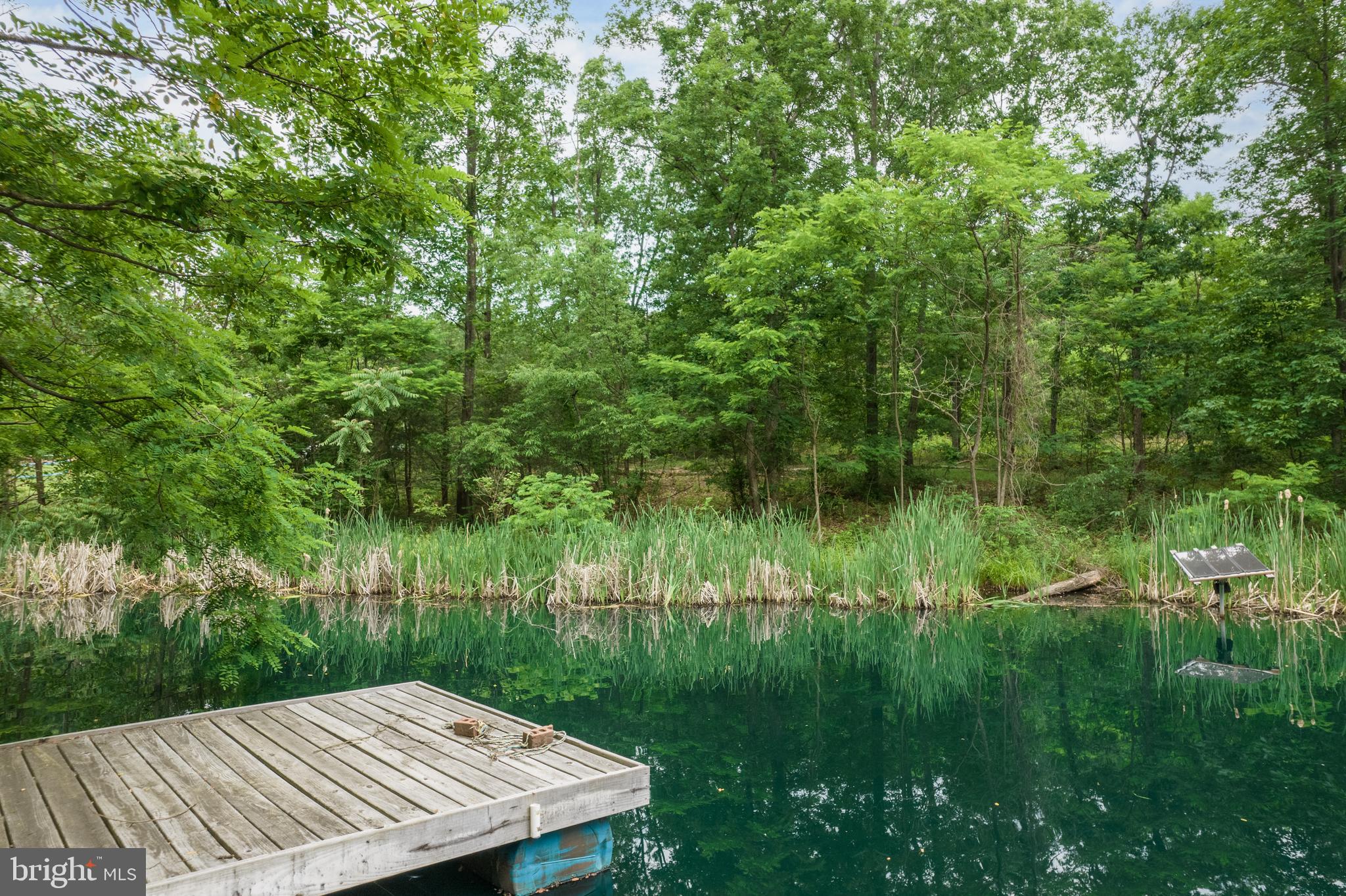 579 Sleepywoods Road Cross Junction, VA 22625 - Photo 3 of 75