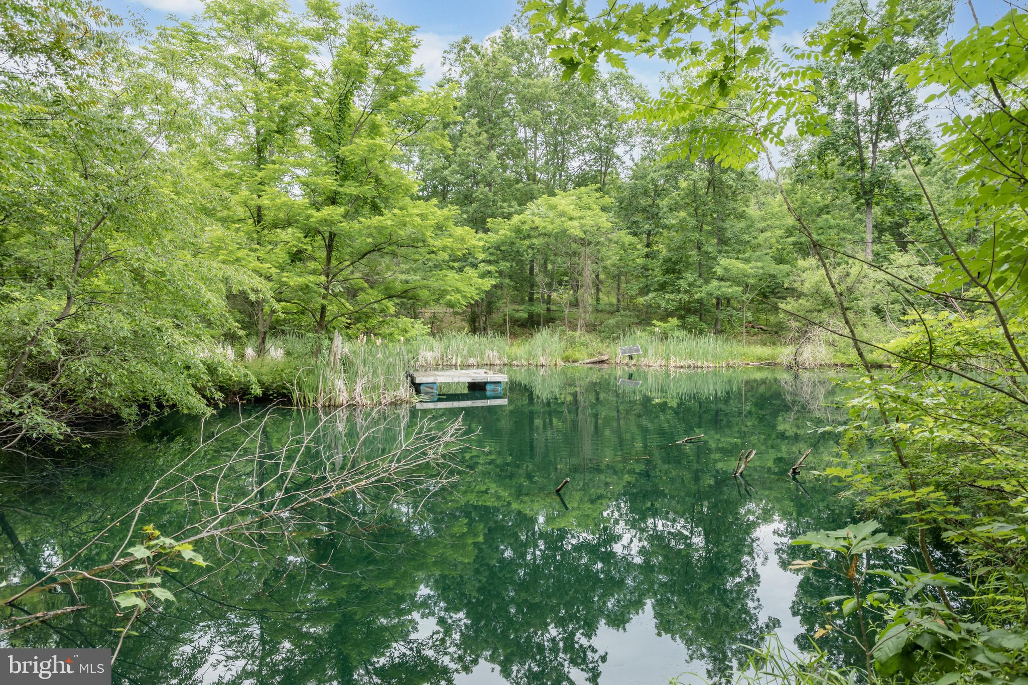 579 Sleepywoods Road Cross Junction, VA 22625 - Photo 4 of 75 Stocked pond