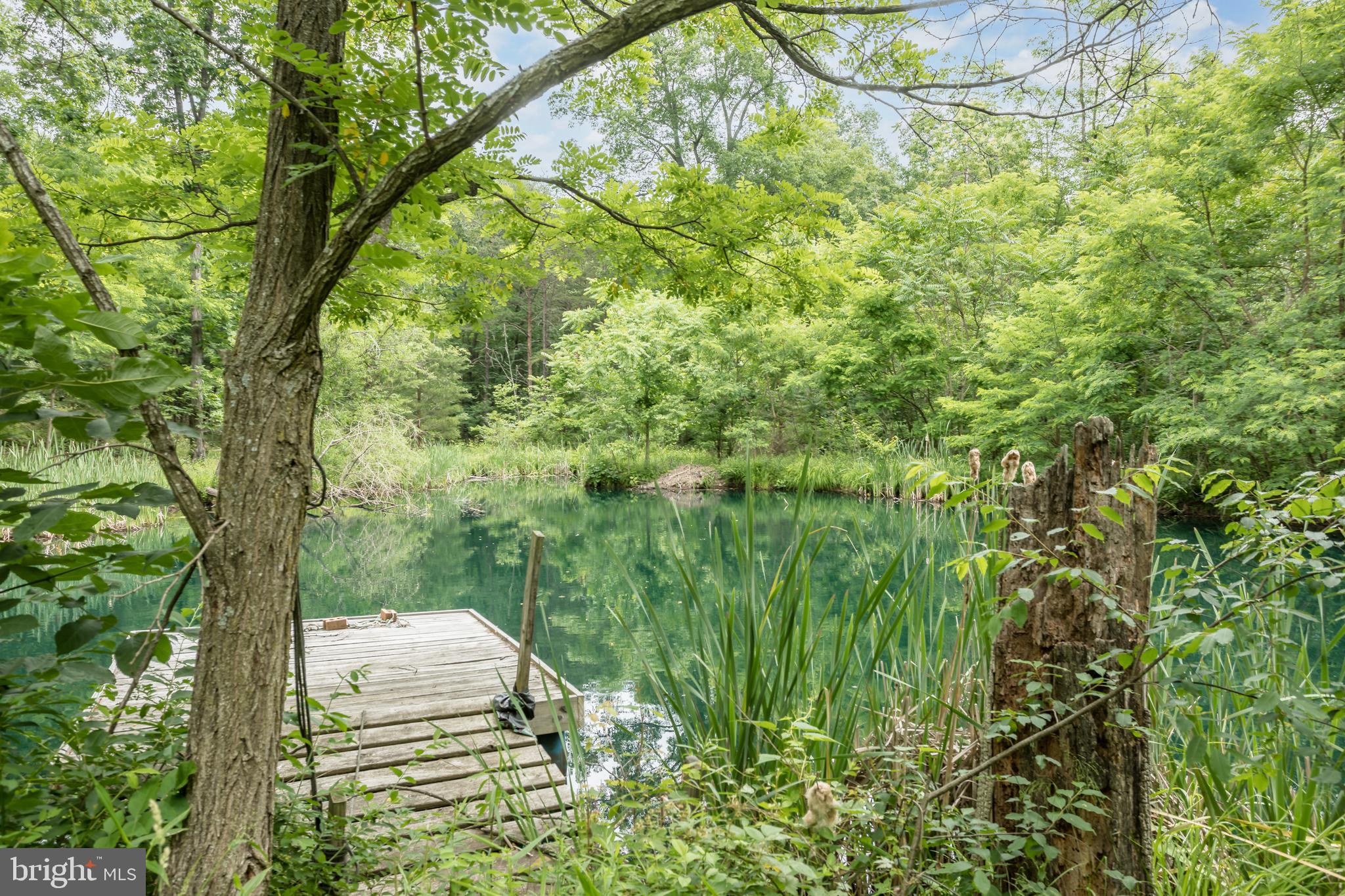 579 Sleepywoods Road Cross Junction, VA 22625 - Photo 49 of 75 stocked pond with dock