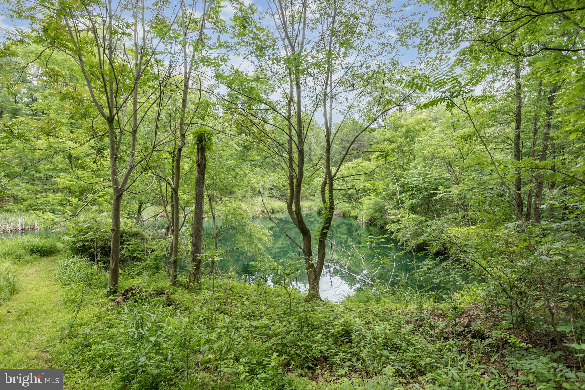 579 Sleepywoods Road Cross Junction, VA 22625 - Photo 50 of 75