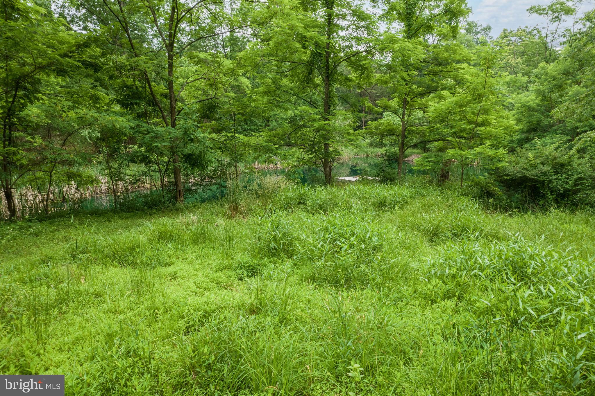 579 Sleepywoods Road Cross Junction, VA 22625 - Photo 55 of 75