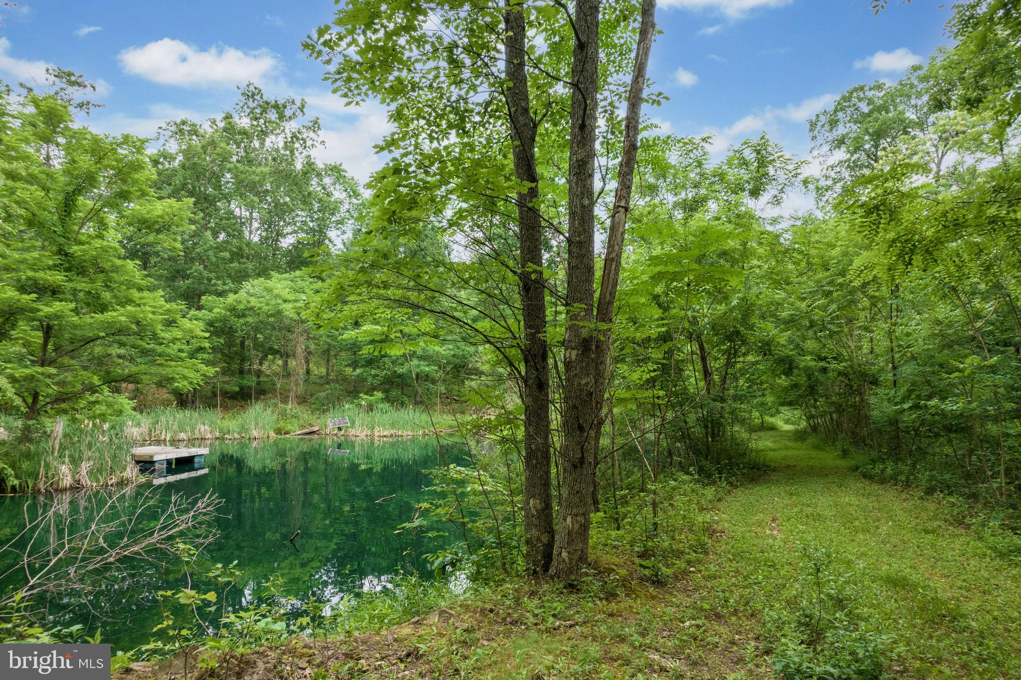579 Sleepywoods Road Cross Junction, VA 22625 - Photo 59 of 75