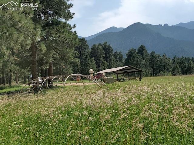 10240 Park Road Rye, CO 81069 - Photo 29 of 38 Gallery Image 29