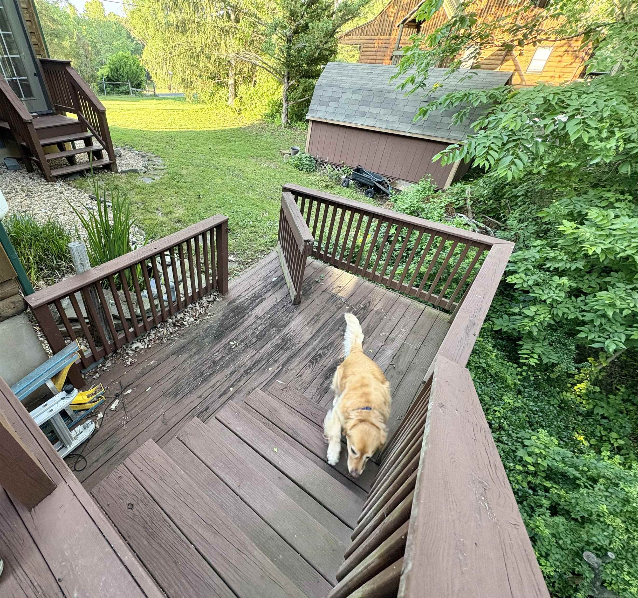 79 River Rdg Road Verona, VA 24482 - Photo 11 of 34 Dog Doesn't Convey!