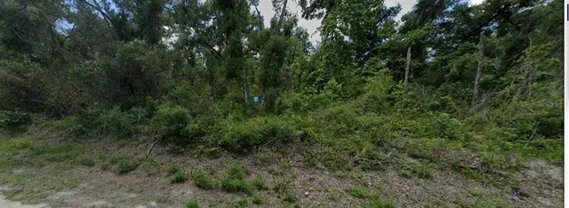 $63,999 | 7200 Southeast Avenue, Webster, FL 33597