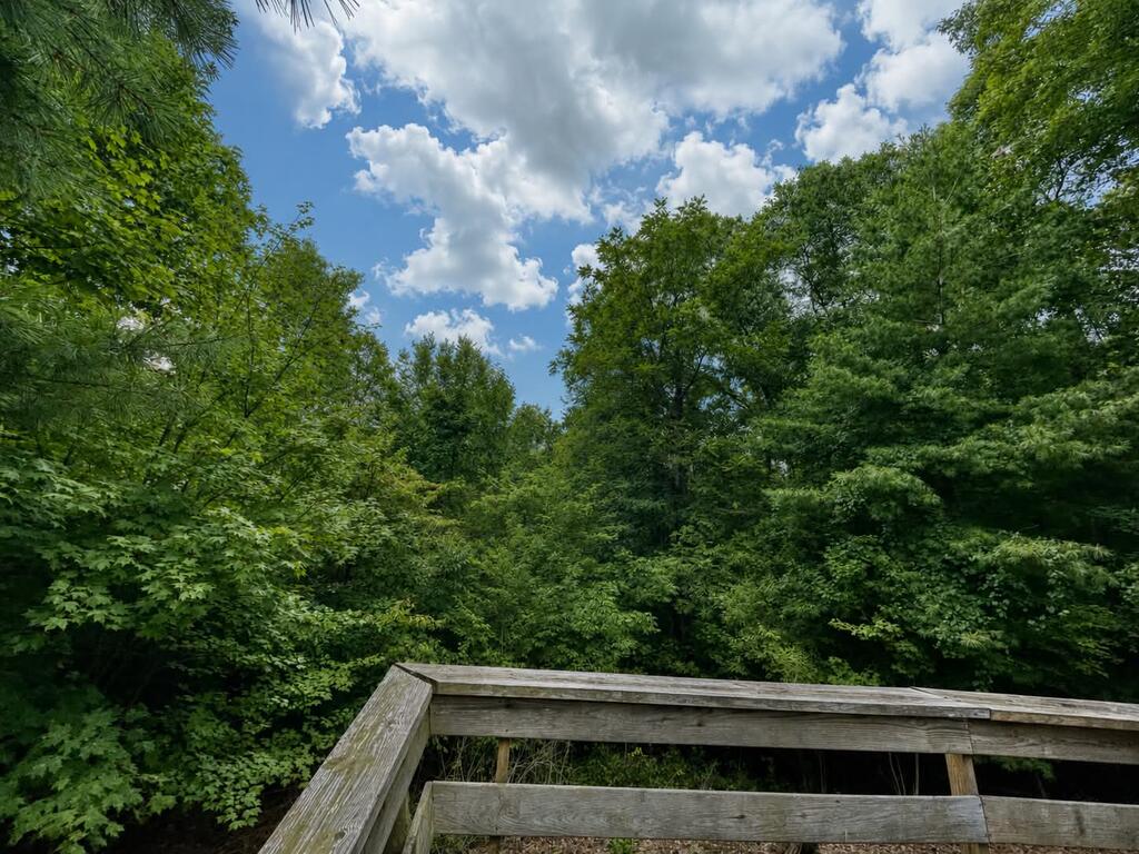 393 Kanawha Ridge Road Dugspur, VA 24325 - Photo 8 of 29 Gallery Image 8