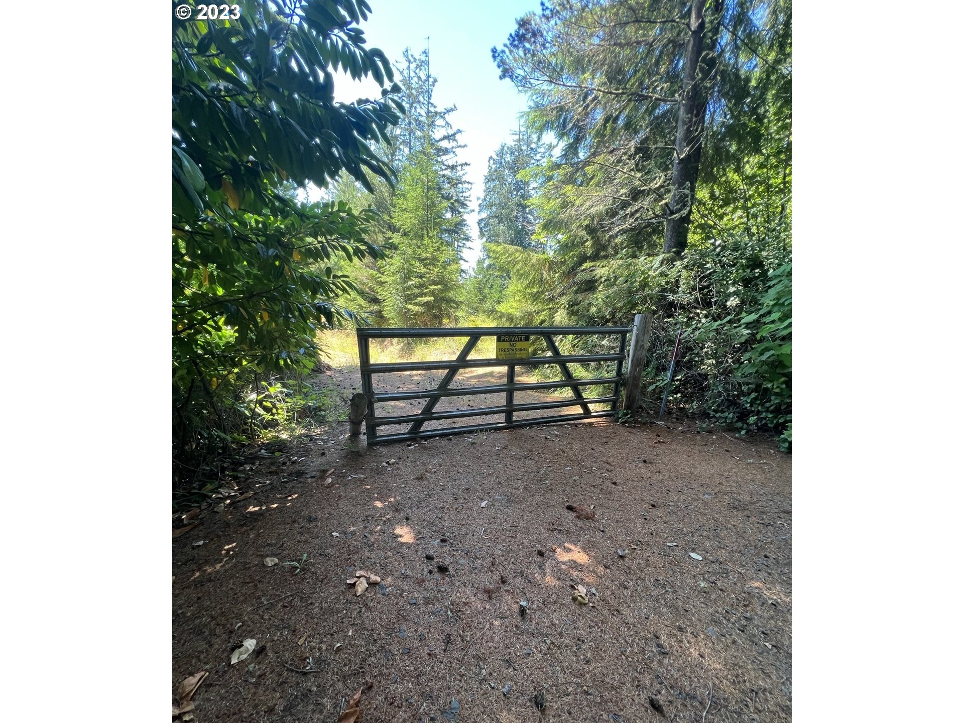 0 Chet's Trail Florence, OR 97439 - Photo 2 of 11 Gallery Image 2