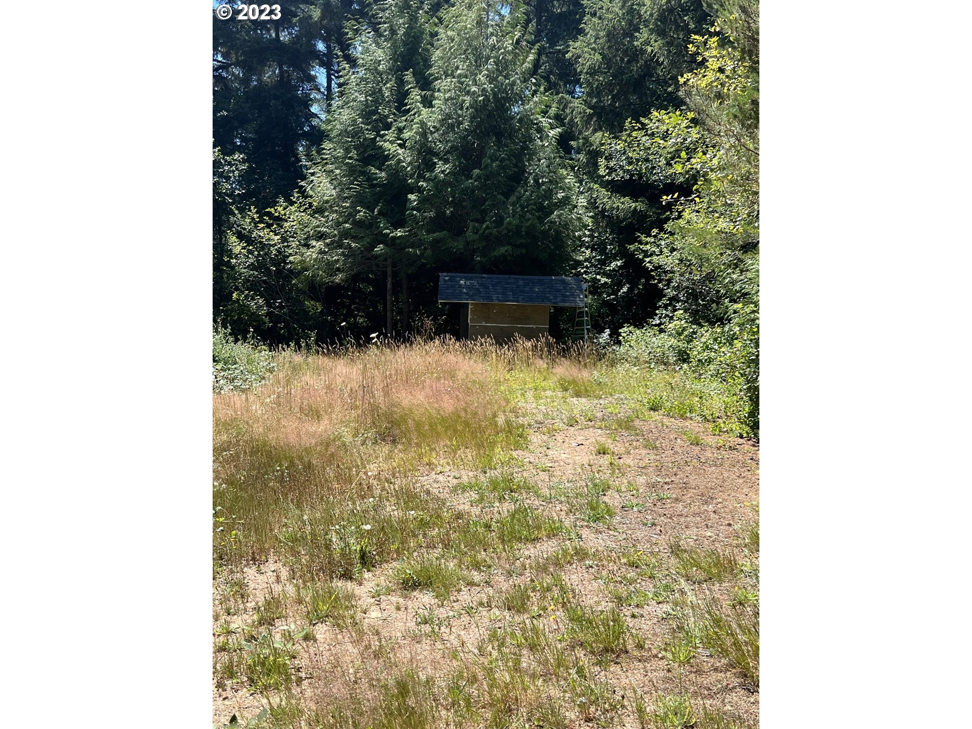 0 Chet's Trail Florence, OR 97439 - Photo 4 of 11 Gallery Image 4