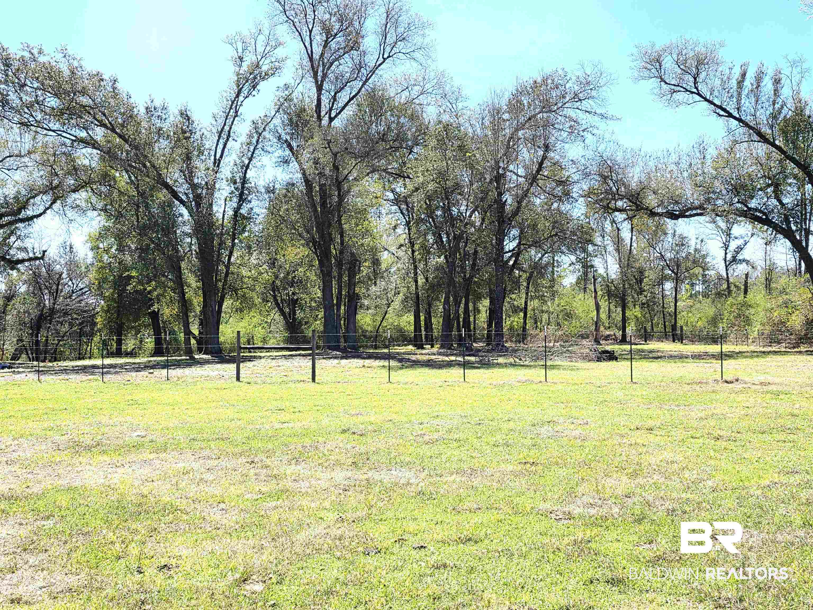 180 Tanner Lane Brewton, AL 36426 - Photo 3 of 15