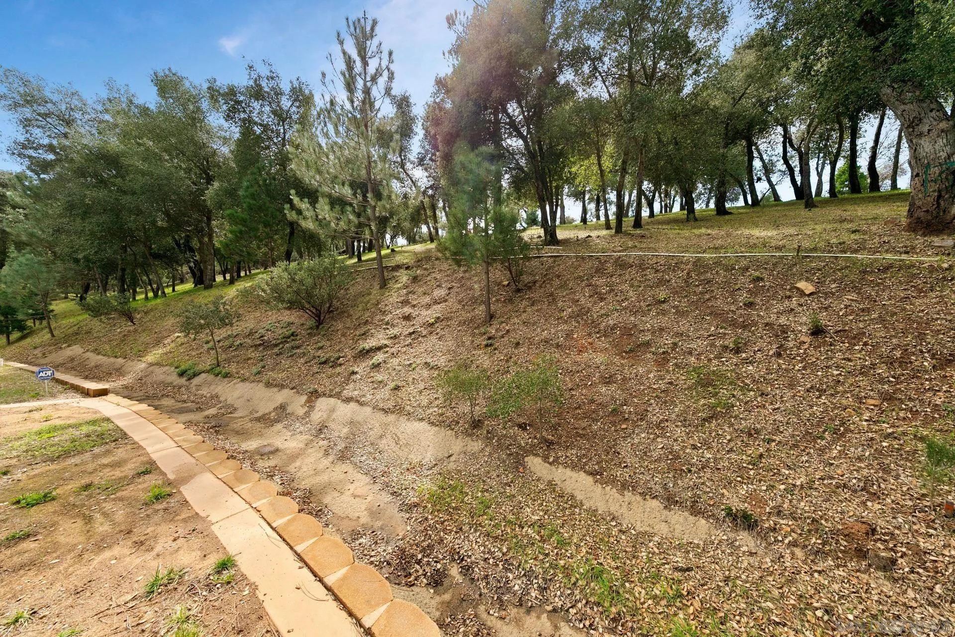 5820 Boulder Creek Road Julian, CA 92036 - Photo 27 of 75 a view of road with trees
