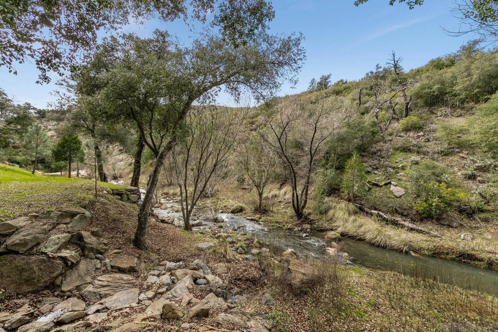 5820 Boulder Creek Road Julian, CA 92036 - Photo 6 of 75 a view of a yard with a tree