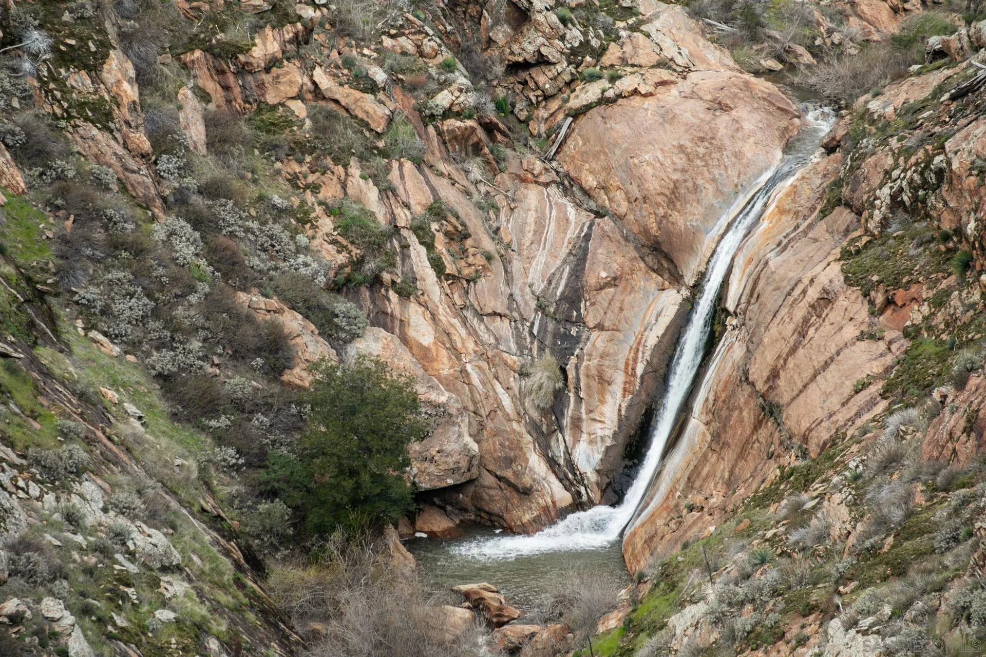 5820 Boulder Creek Road Julian, CA 92036 - Photo 75 of 75 a view of a trees in a yard