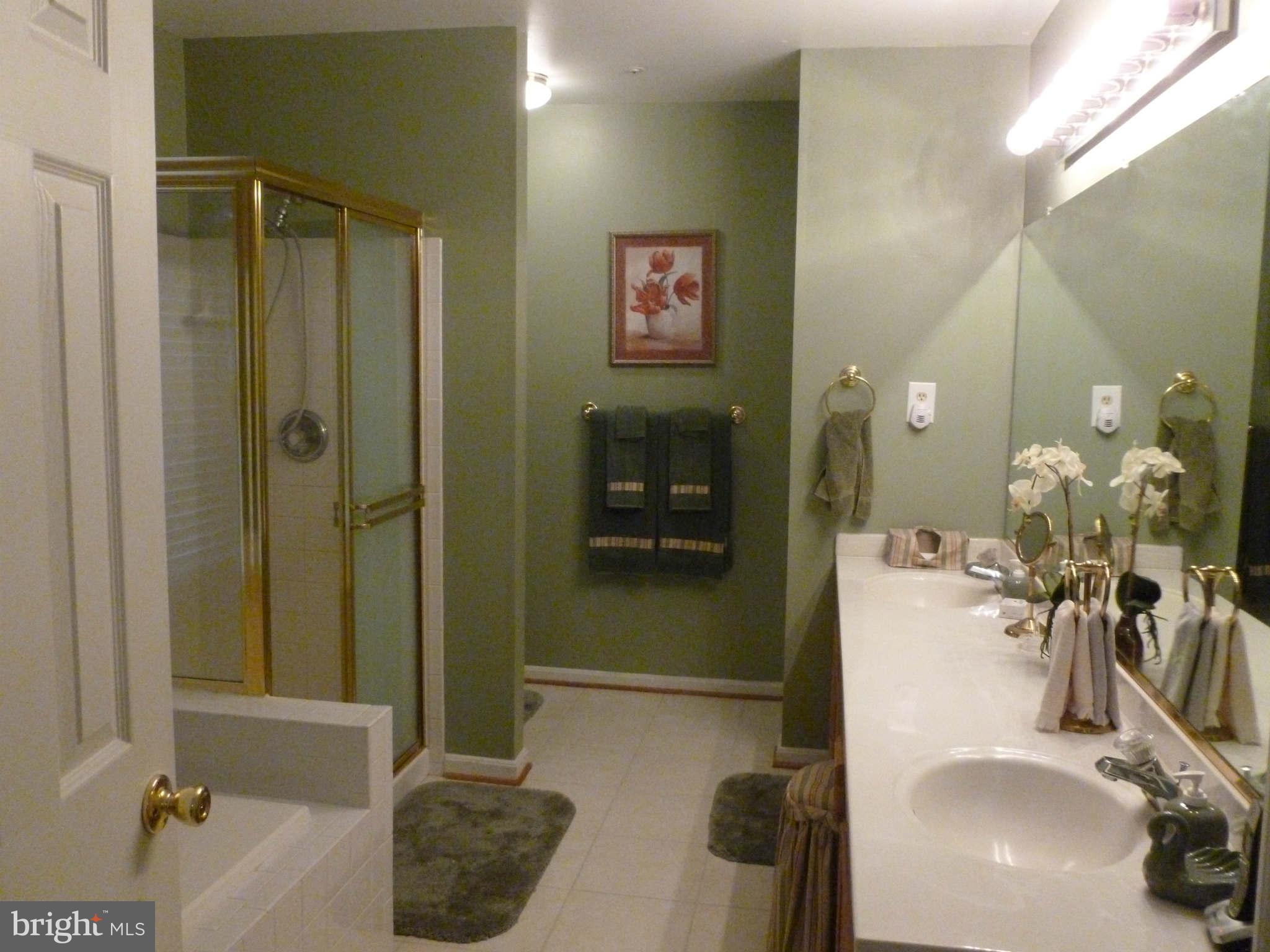 670 Small Reward Road Huntingtown, MD 20639 - Photo 13 of 26 a bathroom with a sink a mirror and a shower